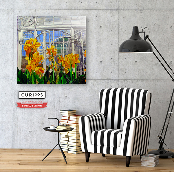 Curioos Wall art - Featuring Matthew Bates artwork